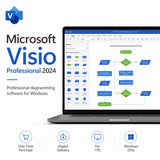 Microsoft Visio Professional 2024