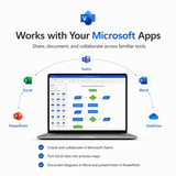 Microsoft Visio Professional 2024