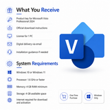 Microsoft Visio Professional 2024