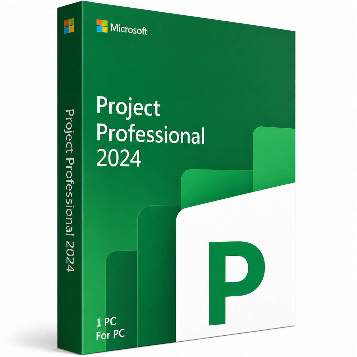 Microsoft Project Professional 2024