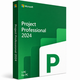 Microsoft Project Professional 2024