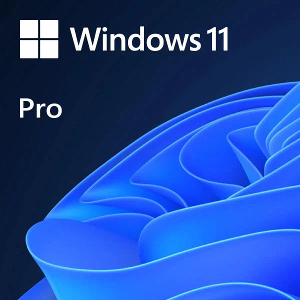 Microsoft Windows 11 Professional (With Copilot Ai)