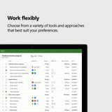 Microsoft Project Professional 2024
