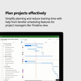 Microsoft Project Professional 2024